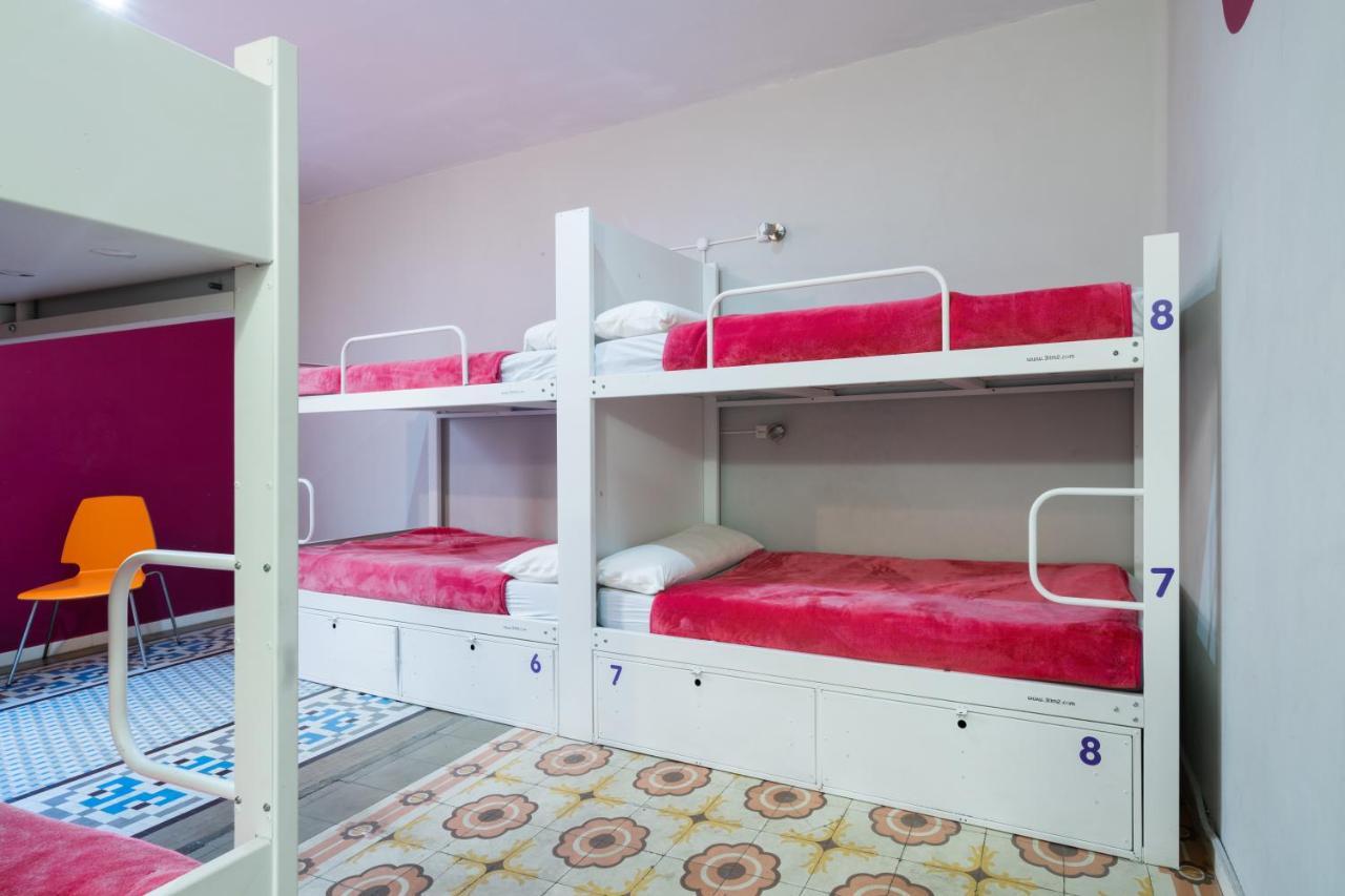 1 Bed an 8-Bed Mixed Dorm